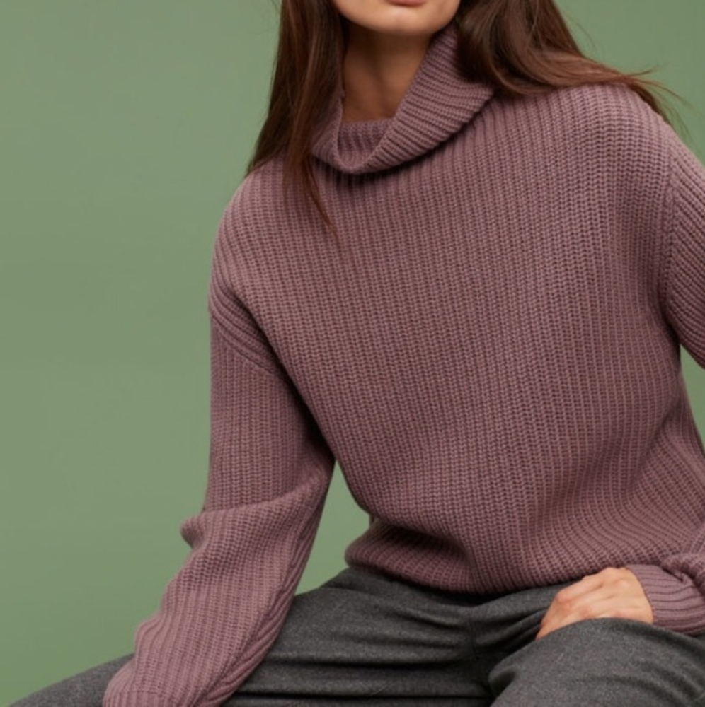 Aritzia Wilfred Montpellier Sweater
